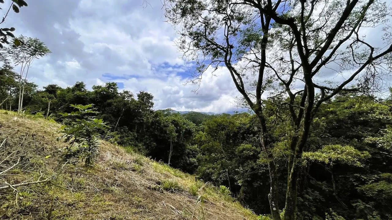 LAND FOR SALE IN SAN MIGUEL, NARANJO - photo 14