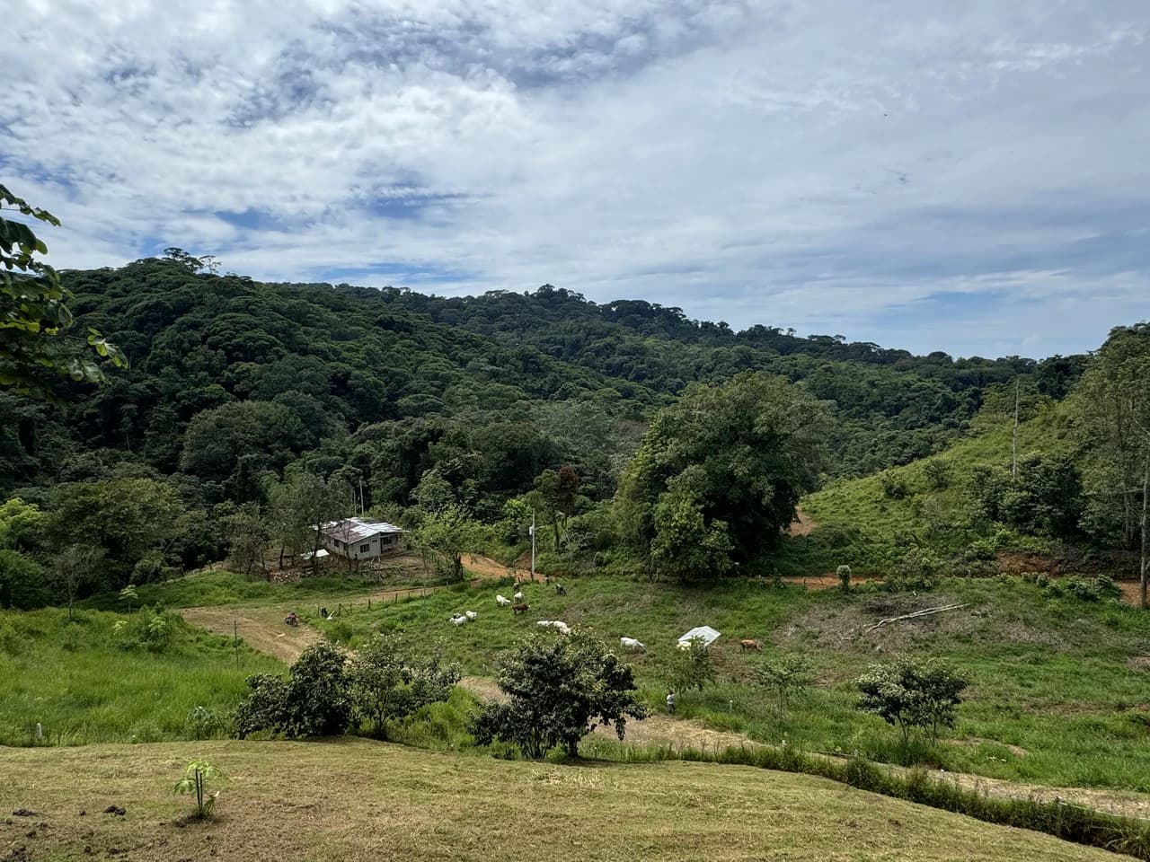 2.6 ACRES – 3 Bedroom Home With Beautiful Views, Several More Building Sites, Perfect For Small Farm!!! - photo 28