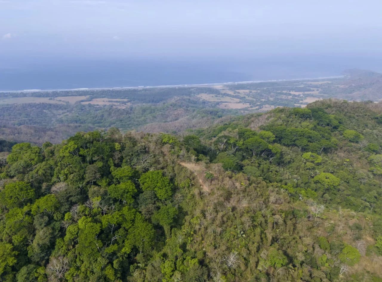 Ocean view farm for sale Costa Rica San Miguel Beach Costa de Oro - photo 17