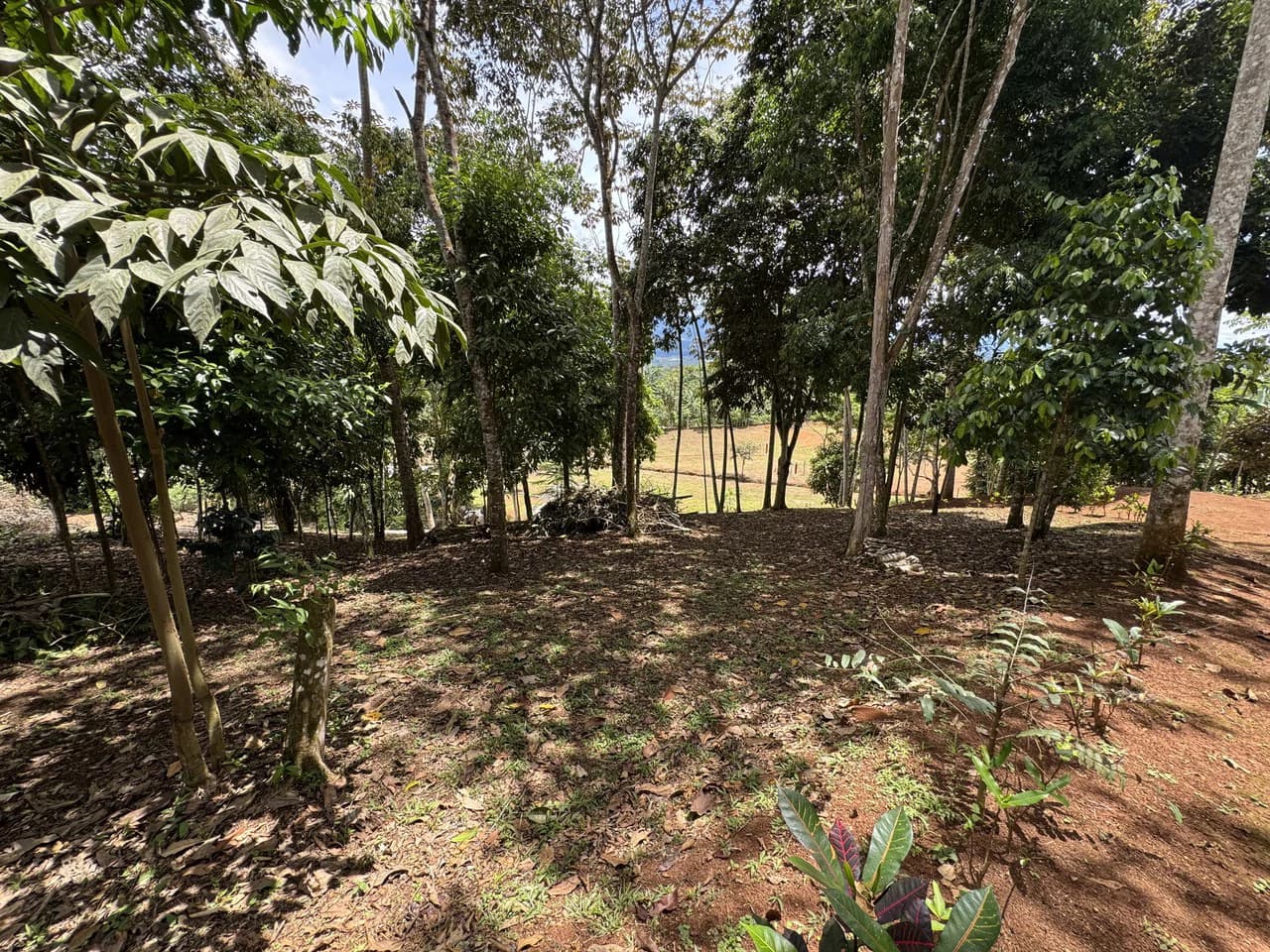 Prime 40,000 Sq. Ft. Building Lot with Mountain & Valley Views in Pérez Zeledón - photo 17