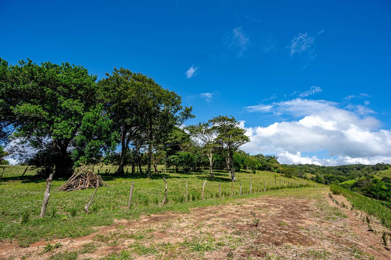 LA CABAÑA - 13+ ACRES & a TINY HOUSE & outstanding VIEWS - REDUCED PRICE - SELLER MOTIVATED - photo 30