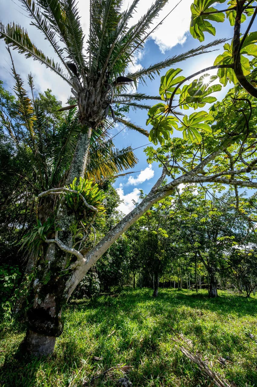 LA CABAÑA - 13+ ACRES & a TINY HOUSE & outstanding VIEWS - REDUCED PRICE - SELLER MOTIVATED - photo 40