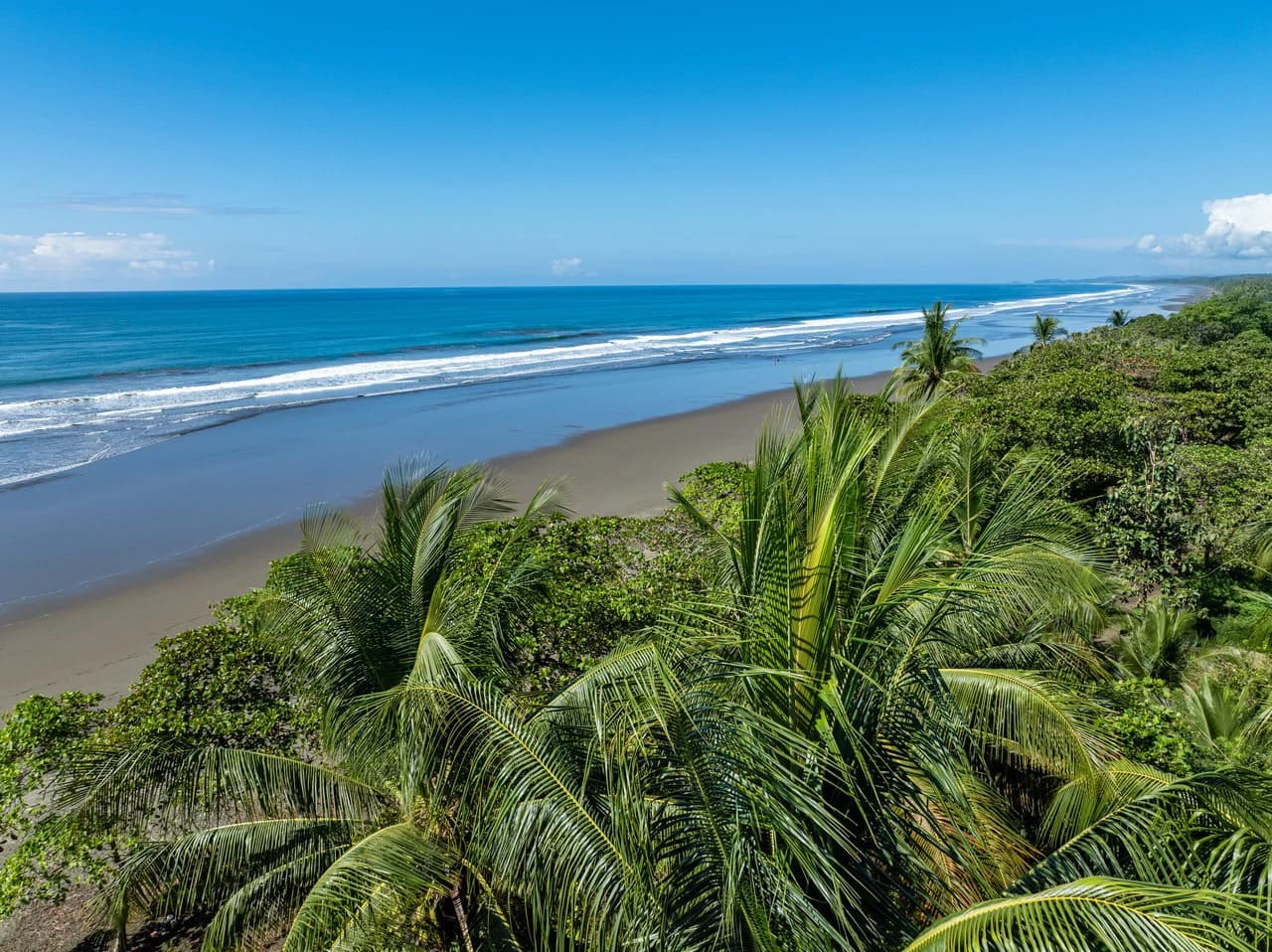 Exclusive Beachfront Opportunity south of Manuel Antonio Costa Rica - photo 10