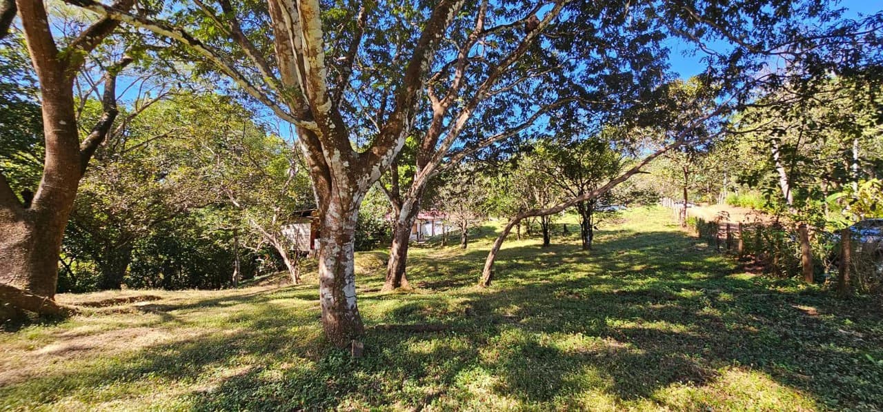 Nature's Gateway: Smart Choice Mixed-Use Property Near Carrillo Beach: Countryside Home Construction Site For Sale in Playa Carrillo - photo 6