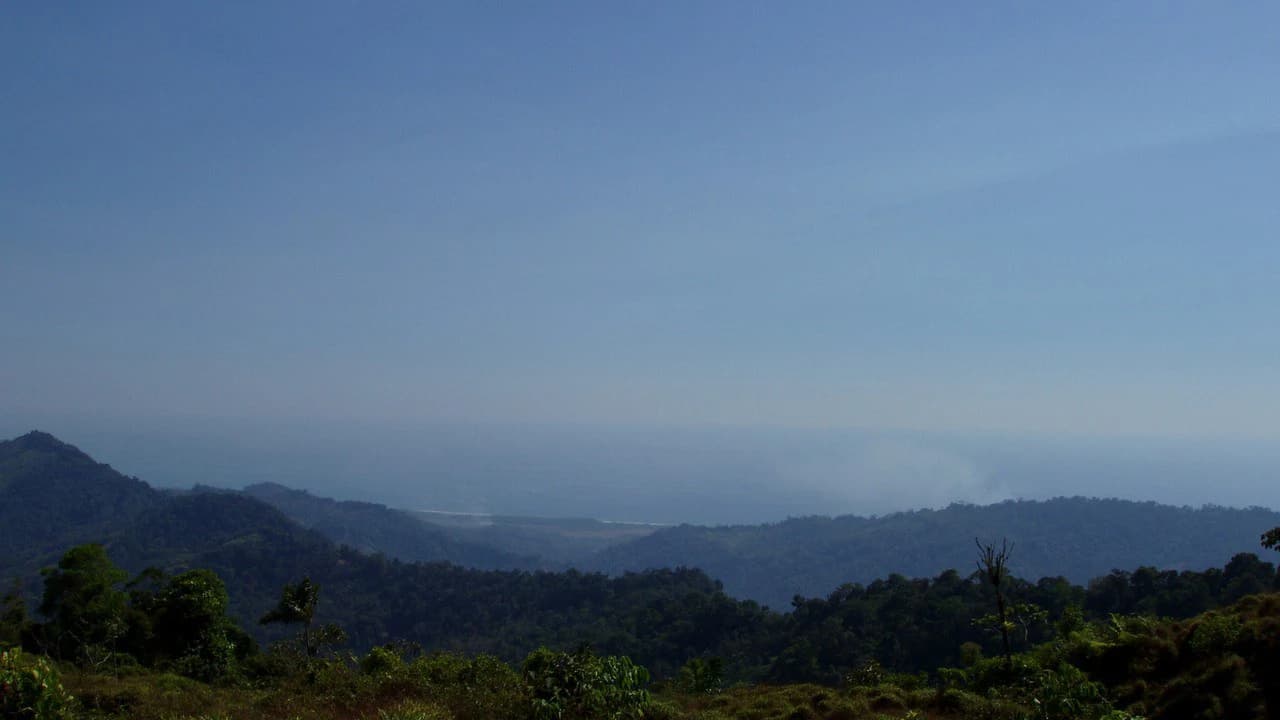 Off Grid 70-Hectare Farm with Stunning Ocean Views and Freshwater Springs - photo 17