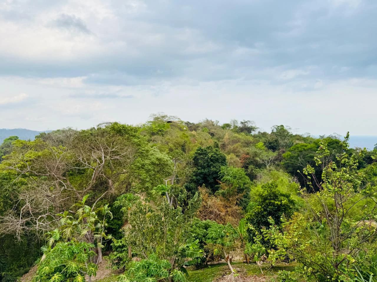Ocean view home for sale Guanacaste Costa Rica San Miguel. - photo 45
