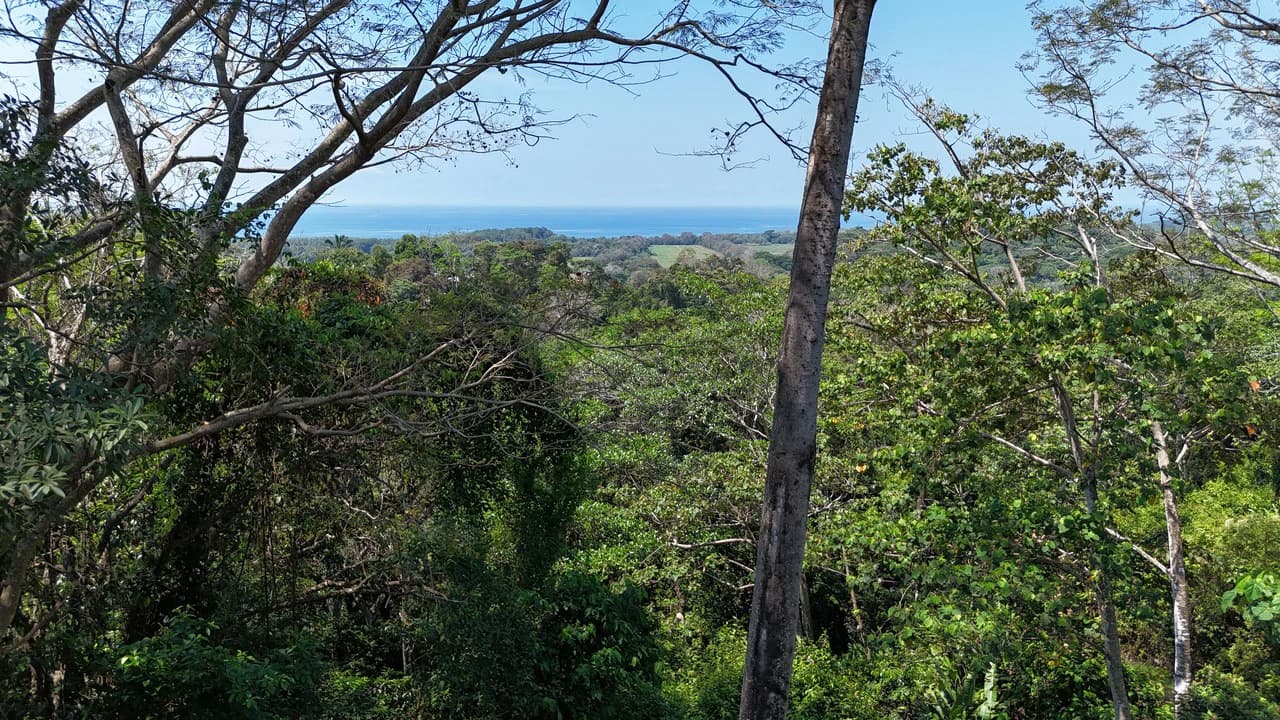 Exceptional Development Opportunity 71 acre Riverfront & Ocean View in Hatillo - photo 28