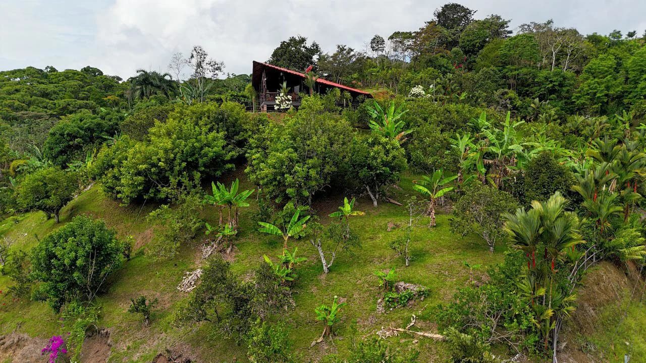 Charming Hardwood Cabin with Fruit Garden Near San Isidro - photo 11