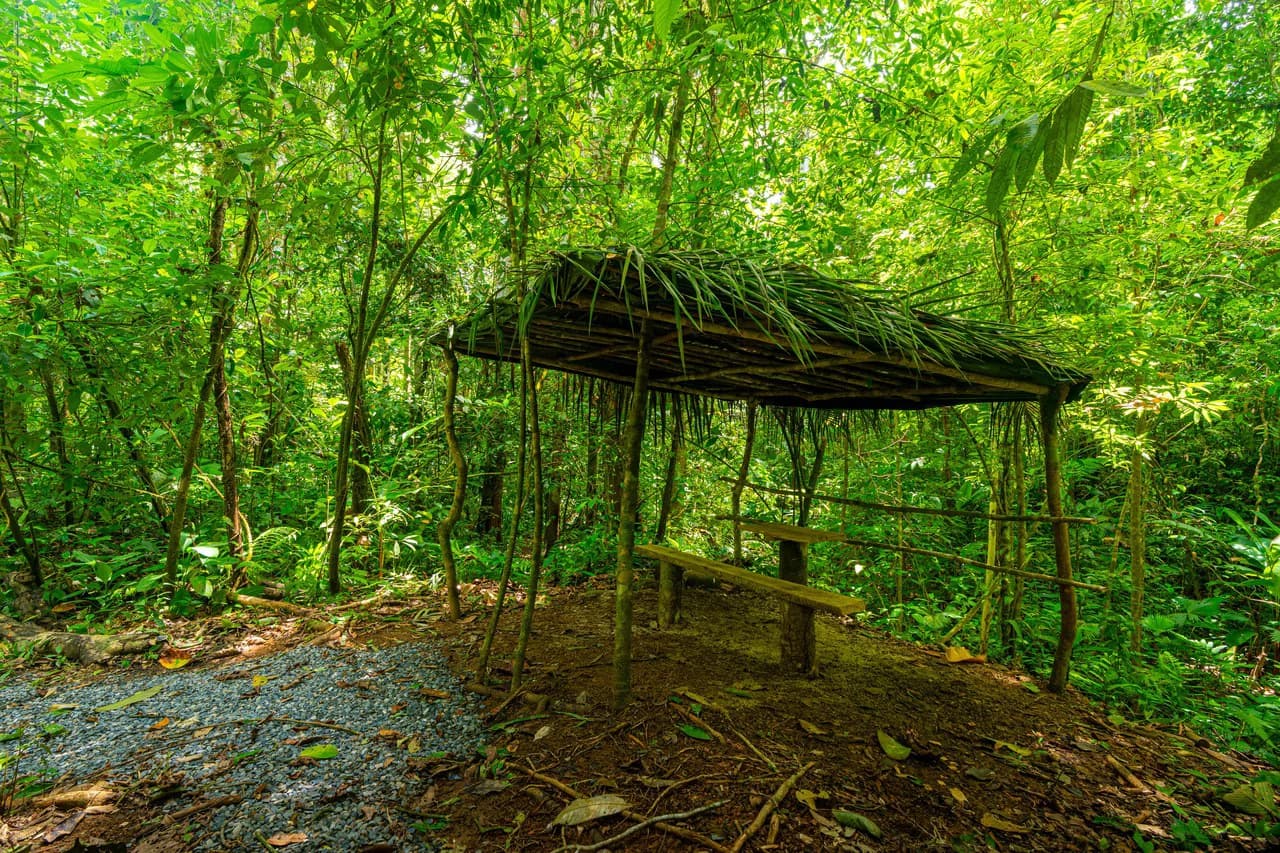 Amazing Mountain View and Ocean View House and Guest House on 4.5 Acres of land in Ojochal - photo 42