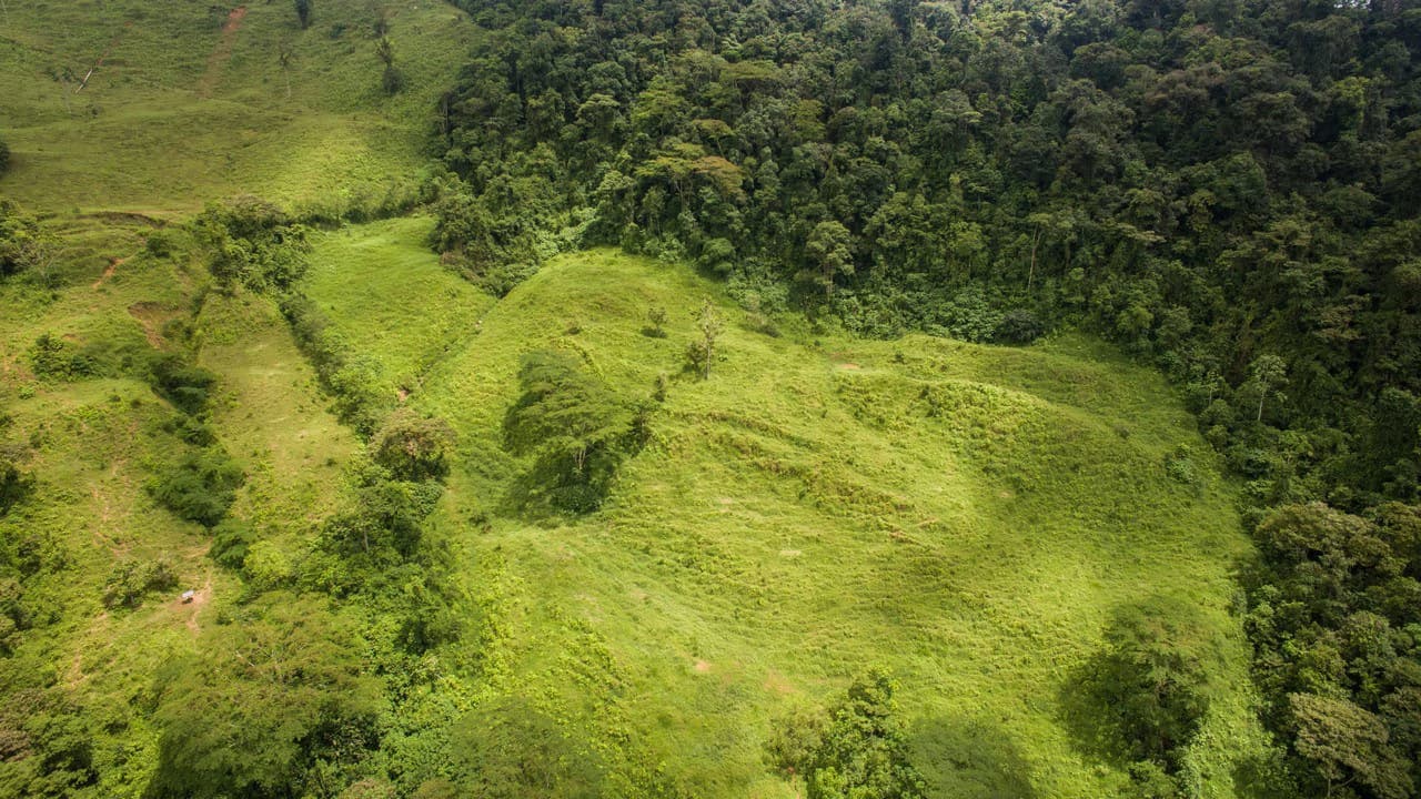 Off Grid 70-Hectare Farm with Stunning Ocean Views and Freshwater Springs - photo 20