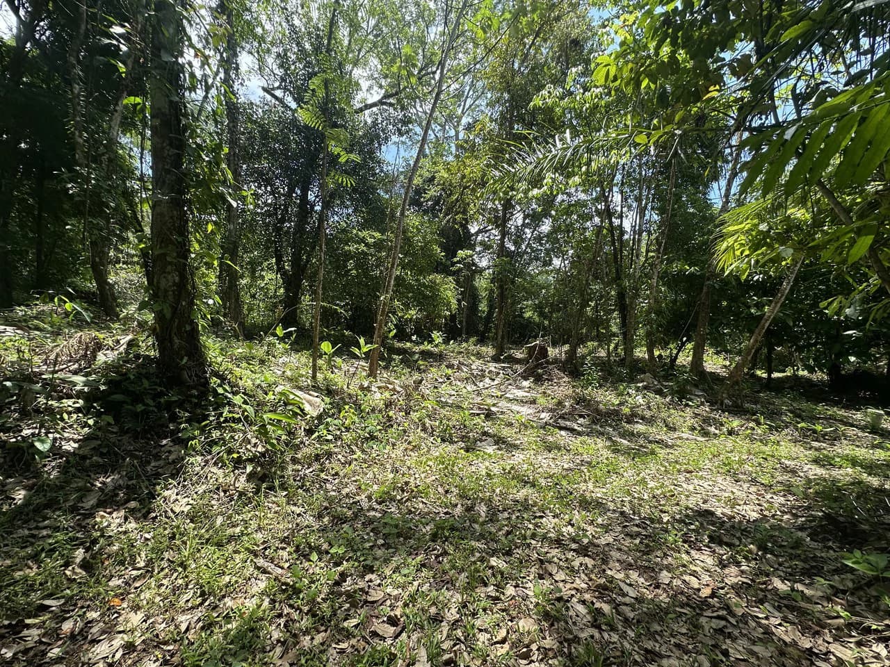 Ocean View Estate Lot with Private Waterfall – Uvita - photo 19