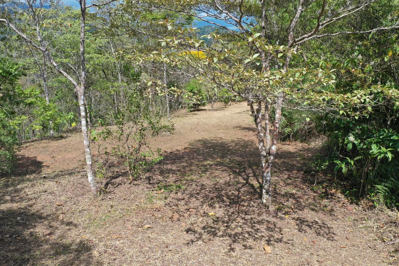 Elevated Two and a Half Acres with Cool Breeze in San Isidro del General - photo 3