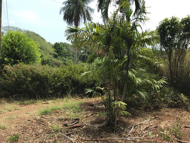 Great property in Santa Cruz: Excellent opportunity to develop in excellent location - photo 16