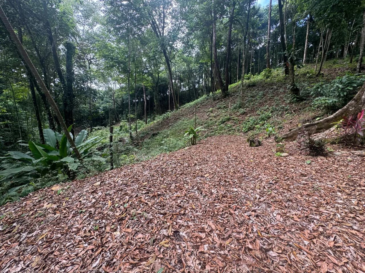 0.5 ACRES – Ocean View Property 1 Min Off Paved Highway In Escaleras Minutes To Dominical And Uvita!!!: Near the Coast and Mountain Home Construction Site For Sale in Dominical