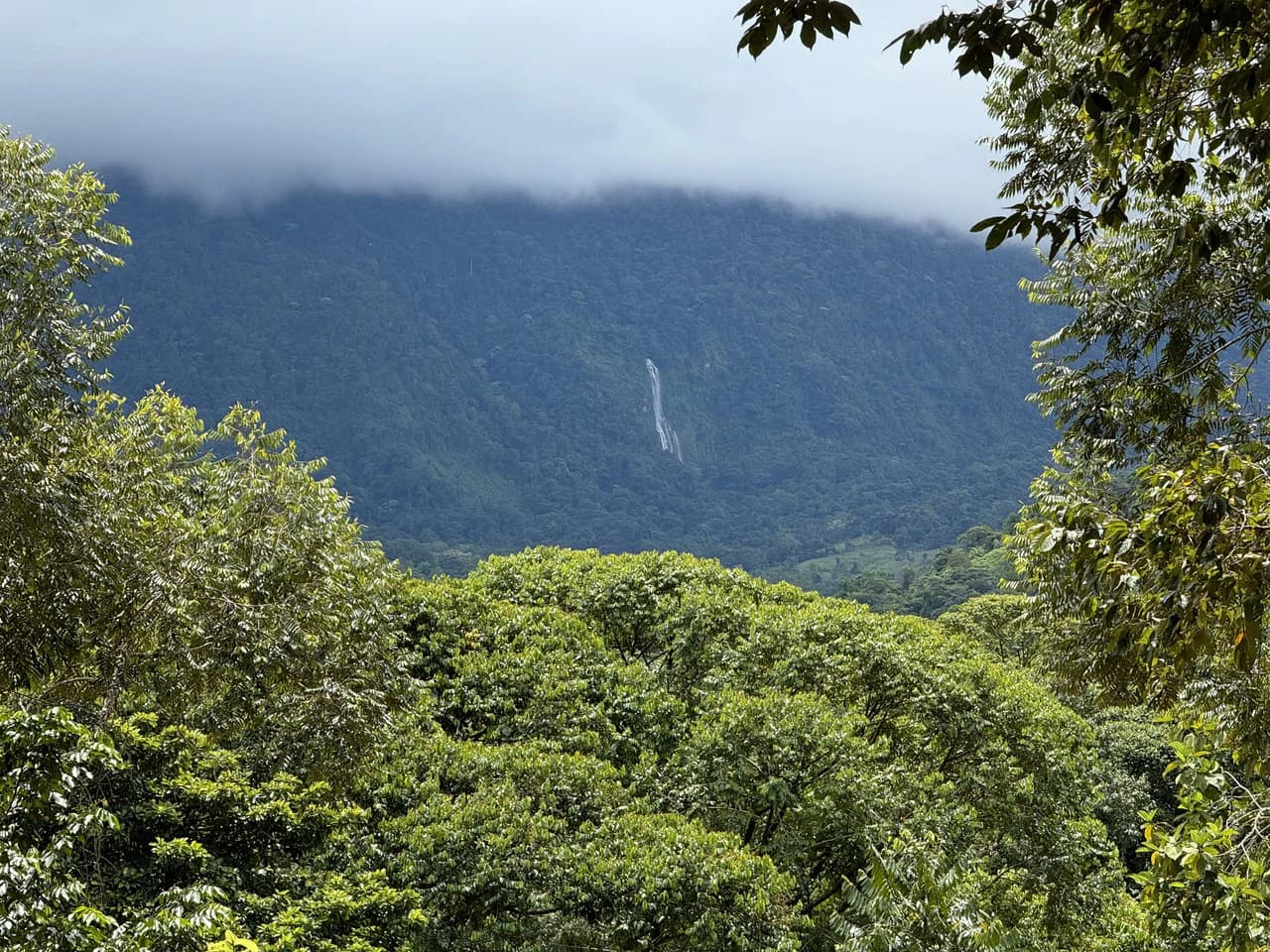 Diamante Waterfall View Land in Dominical 2.9 Acres - photo 28