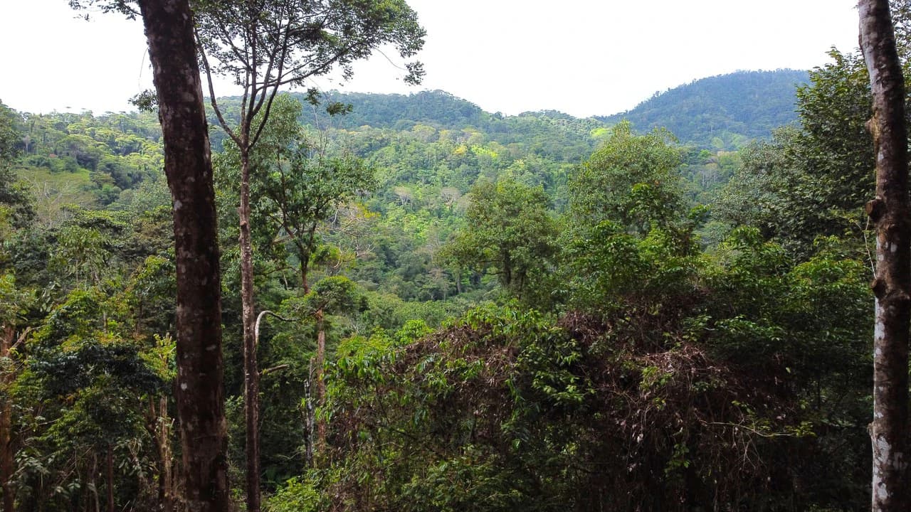Mountain View Building Lot in Prestigious Gated Community With Private Waterfall & Two Building Sites: Mountain Home Construction Site For Sale in Portalon - photo 10