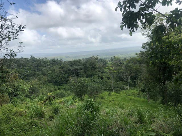 Hot and Cold Thermal Springs for Sale – Beautiful Property in Dos Ríos, Alajuela with Excellent Commercial Potential - photo 49