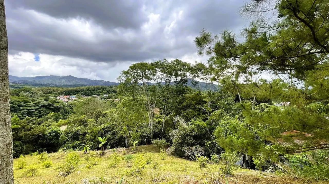 LAND FOR SALE IN SAN MIGUEL, NARANJO - photo 10