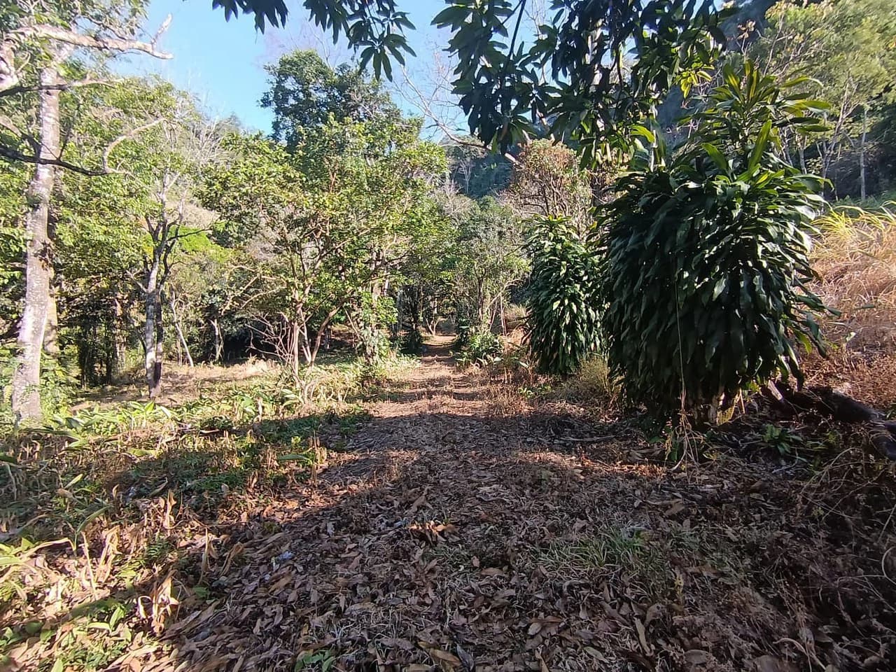 Property for sale in Ciudad Colon San José Costa Rica - photo 2