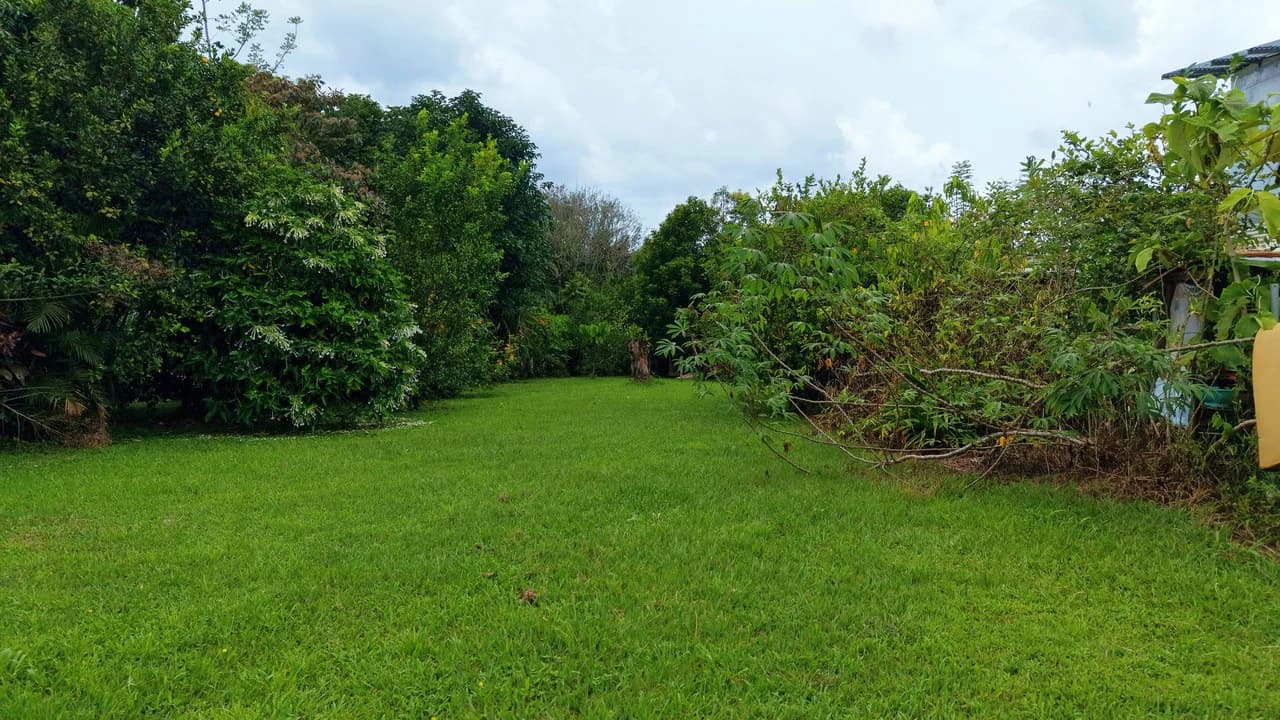 LOTE PLANO CON FRUTALES: Mountain Home Construction Site For Sale in General Viejo - photo 2