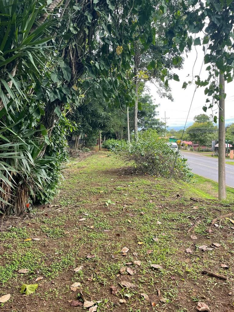 PROPIEDAD PARA INVERSION SABANA LARGA ATENAS: INVESTMENT PROPERTY - photo 3