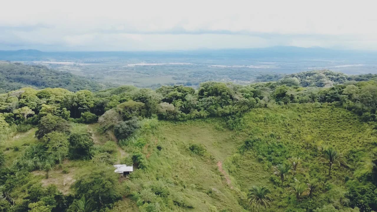 Near the Coast Home Construction Site For Sale in Osa - photo 16