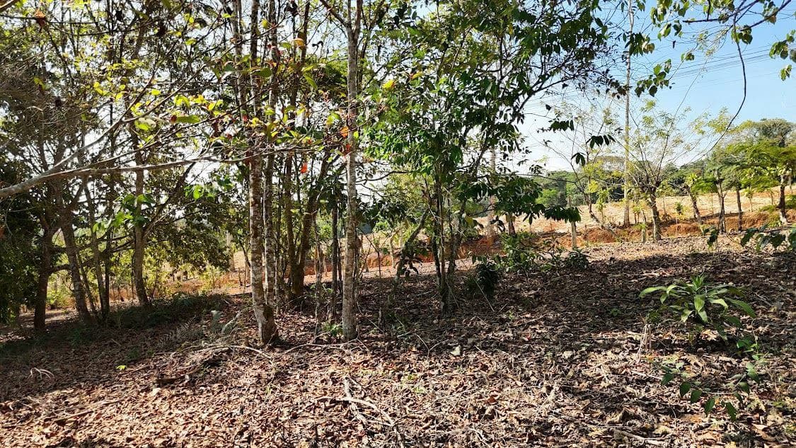 Home Construction Site For Sale in La Ceniza - photo 5