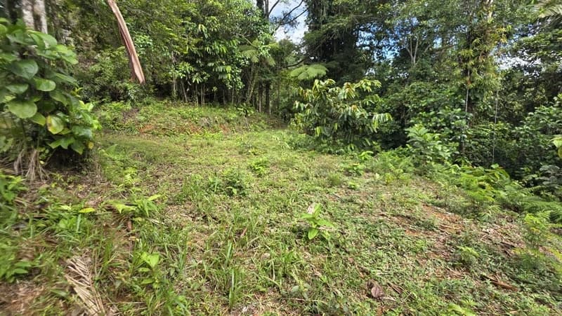 116-Hectare Finca for Sale Near Uvita with Whales Tail Views and 10 Waterfalls | La Faralla, Bahia Ballena, Uvita, Puntarenas, Costa Rica - photo 21