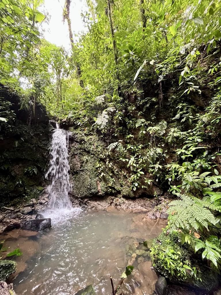 Spectacular 72.44 acres: Costa Rica Nature Estate | Private Waterfall, River, Home & Spectacular Views | Near La Fortuna - photo 14