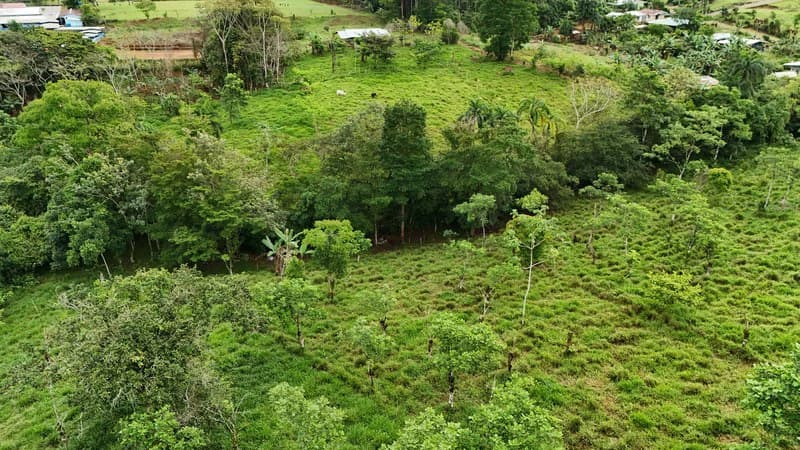 Lote en San Francisco de Cajon: Mountain Agricultural Land For Sale in San Francisco - photo 2
