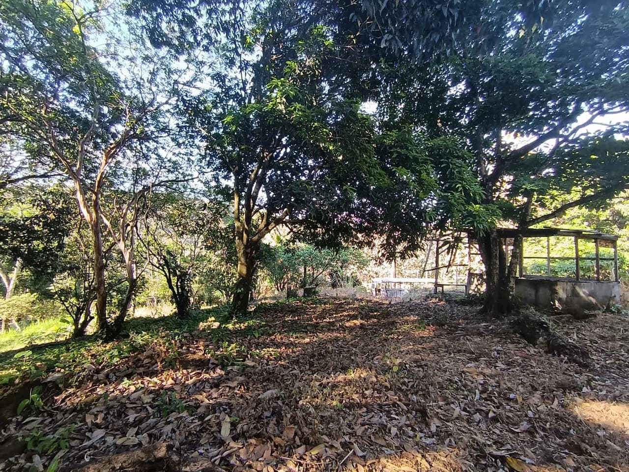 Property for sale in Ciudad Colon San José Costa Rica
