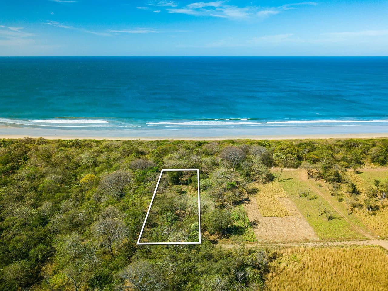 Playa Grande Lot #1: Titled Beachfront Estate Lot Playa Grande