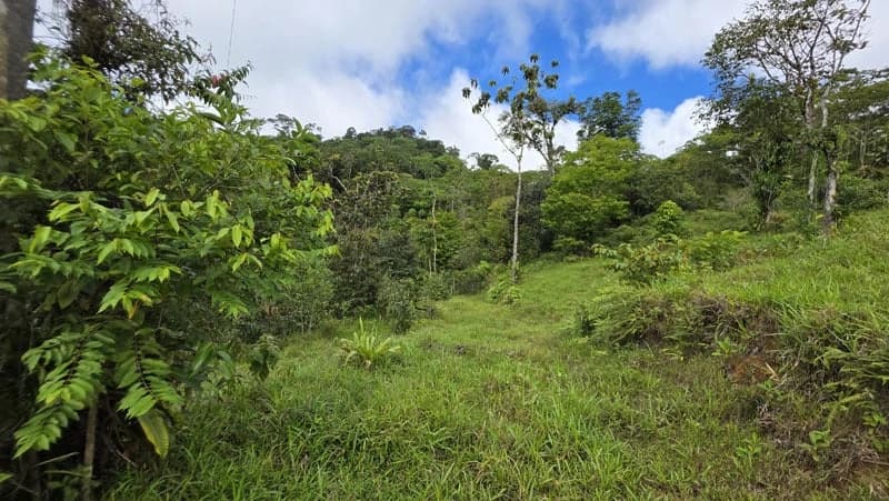 116-Hectare Finca for Sale Near Uvita with Whales Tail Views and 10 Waterfalls | La Faralla, Bahia Ballena, Uvita, Puntarenas, Costa Rica - photo 46