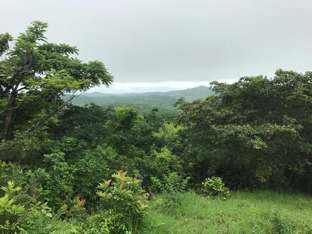 Ocean View Farm - photo 9