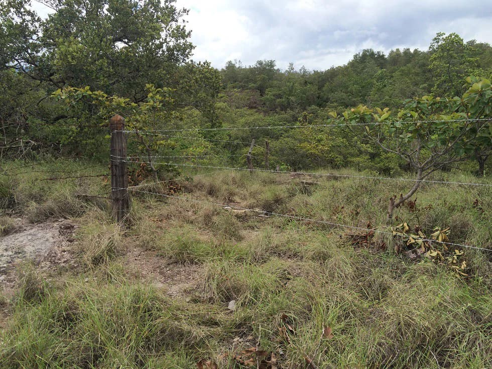Finca grande: Economic Building property for sale in El Salto, with private access to the surrounding beautiful nature with own river - photo 17