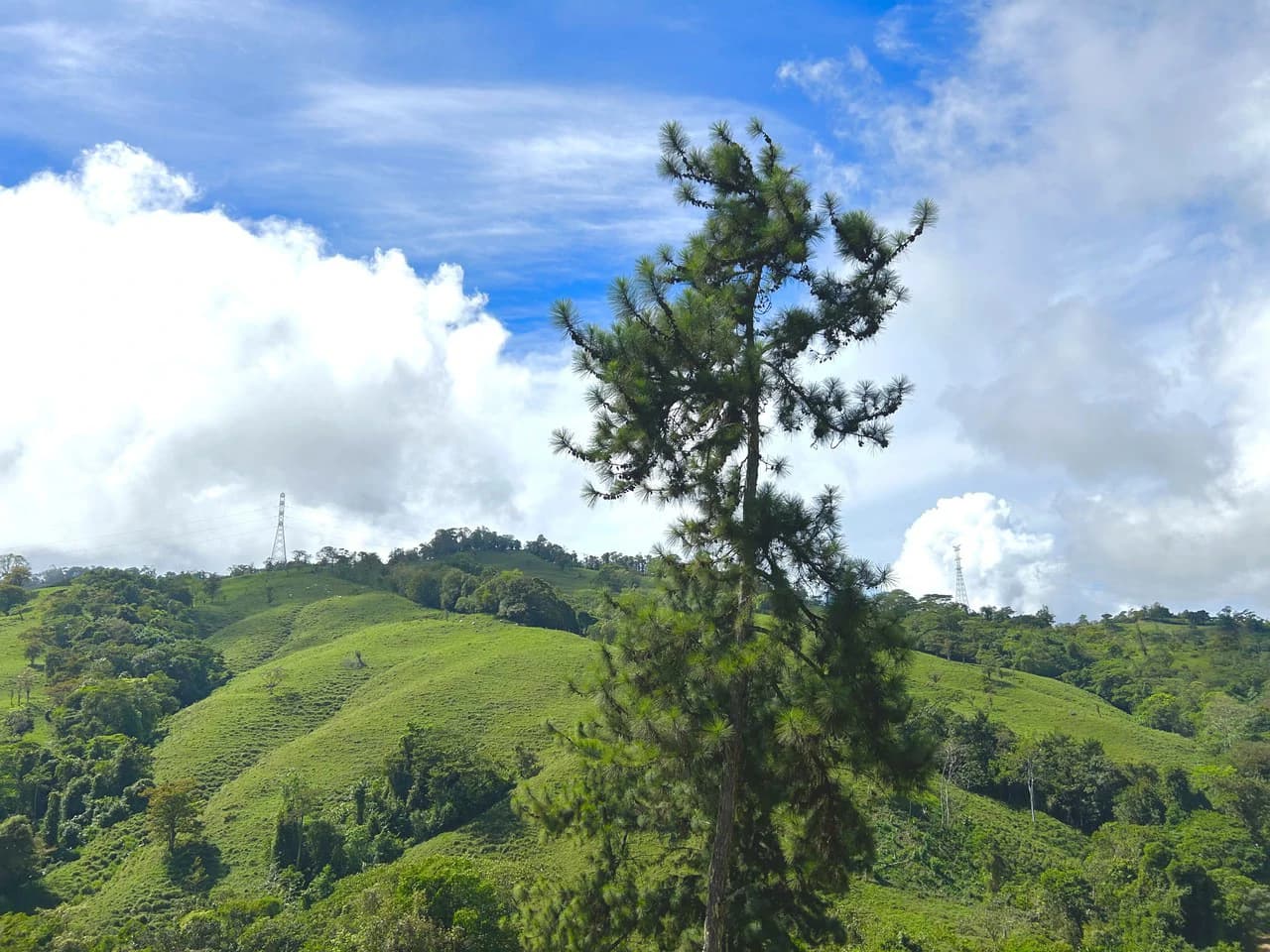 Finca Ceibo Memo: Mountain Home Construction Site For Sale in San Isidro del General - photo 42
