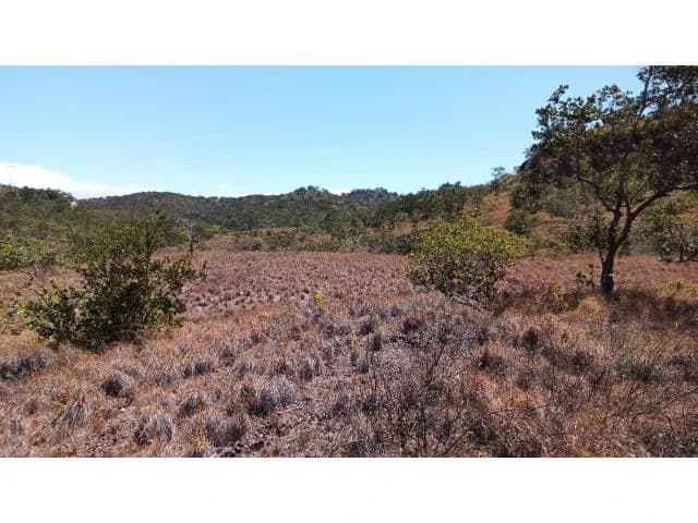 Huge Tico-Farm for sale with a big house in the mountains of Liberia, surrounded by nature and fantastic valley views - photo 8