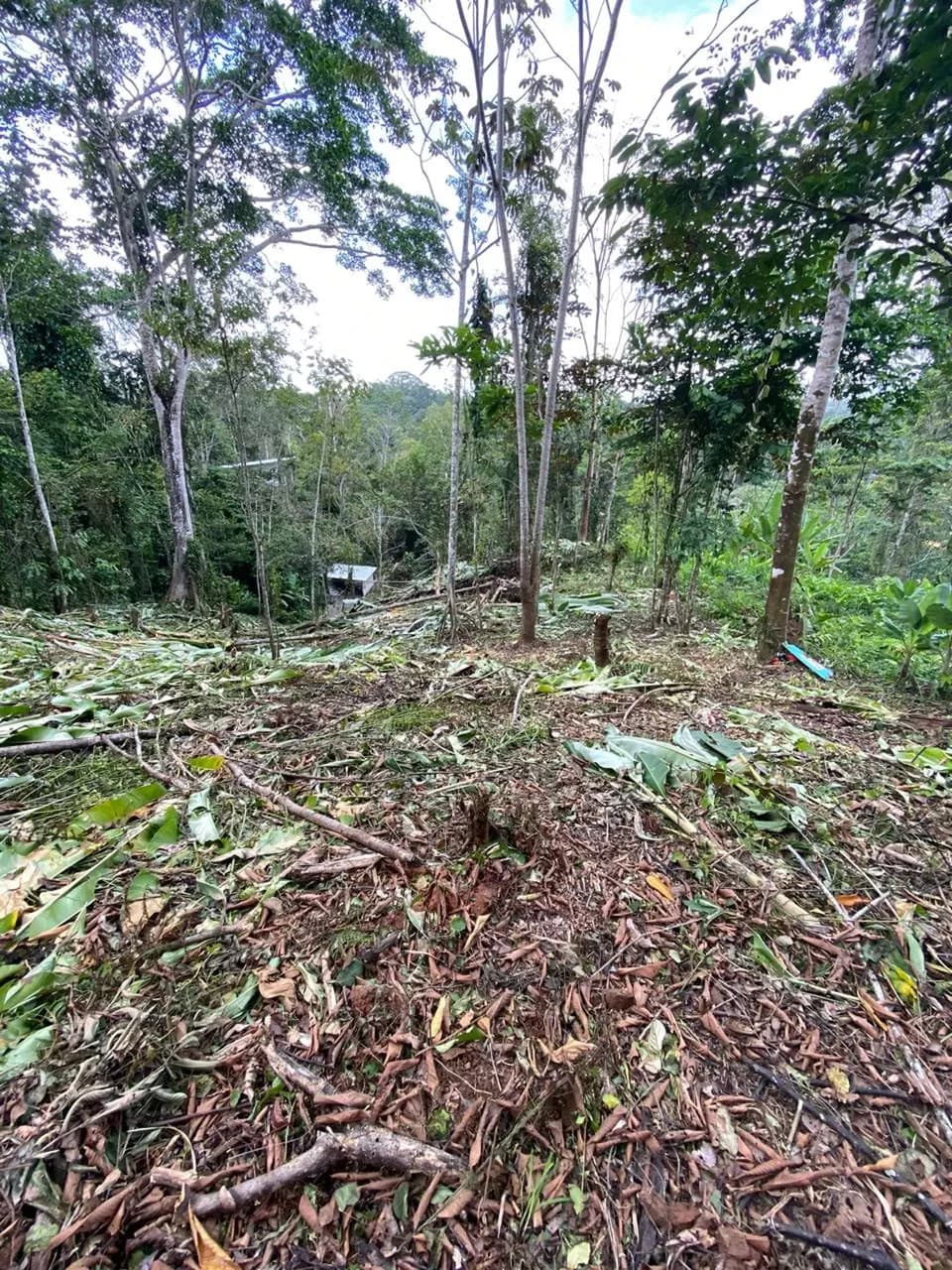 ID 1084: 5,500 sqm Lot with Mountain View in Iriria 1, Punta Uva - photo 2