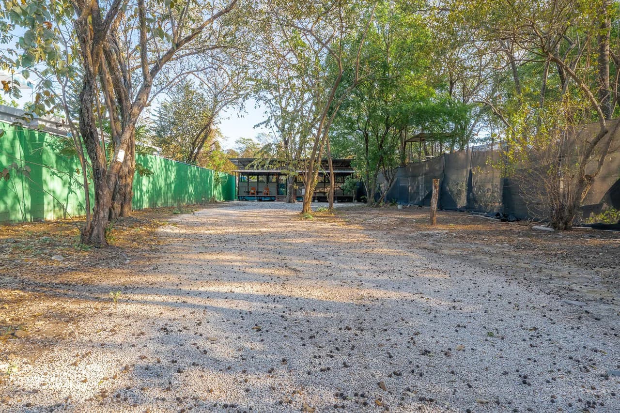 Casa Tranquila: Exceptional Value for a Prime Beachside Location - photo 7