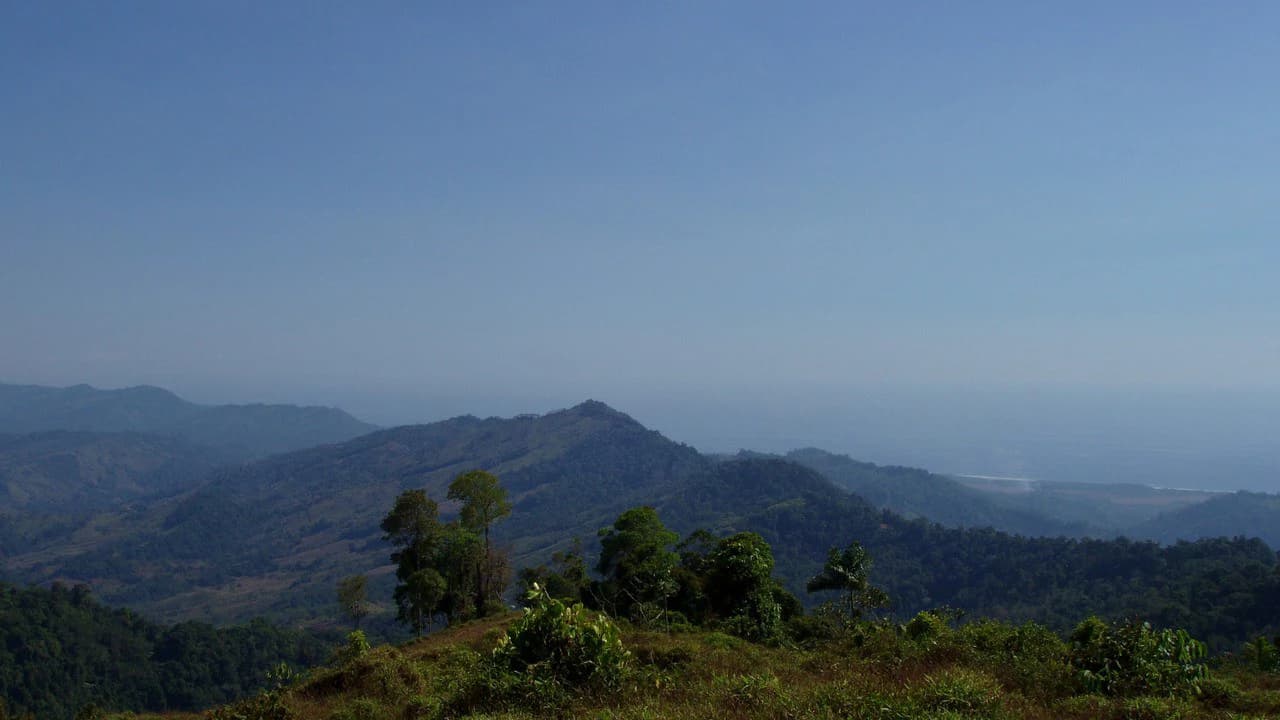 Off Grid 70-Hectare Farm with Stunning Ocean Views and Freshwater Springs - photo 14