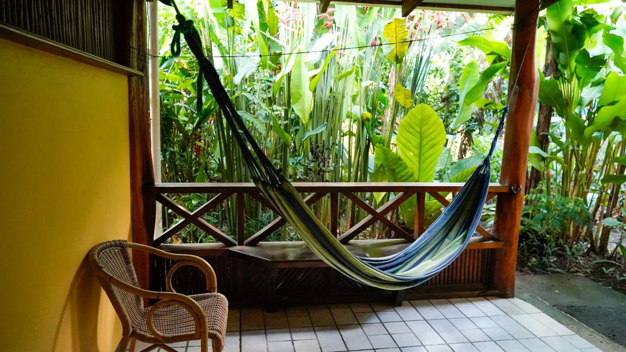 Established Caribbean Hotel: in the Heart of Puerto Viejo’s Vibrant Downtown Tourist Hub - photo 12