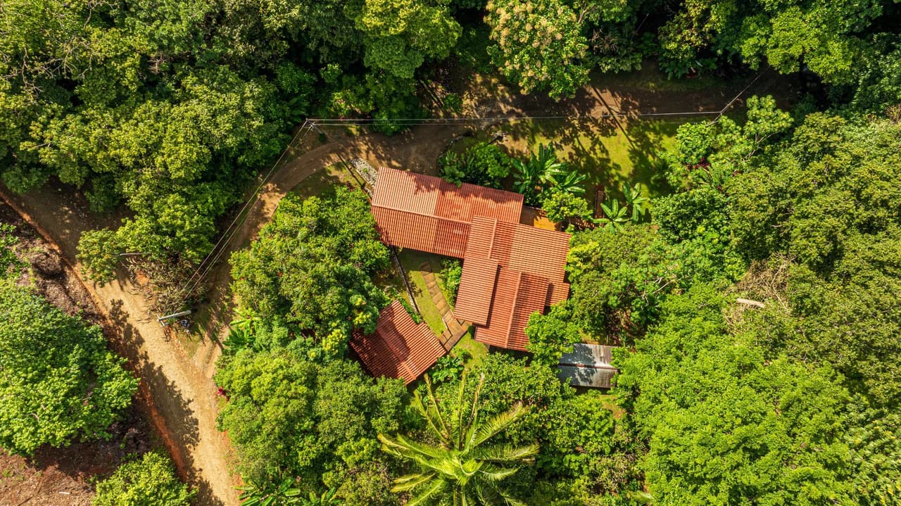 A Jungle House Built of Wood & River Dreams - photo 4