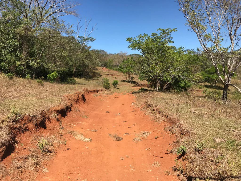 Ocean view farm for sale in the mountains of San Juanillo - photo 10