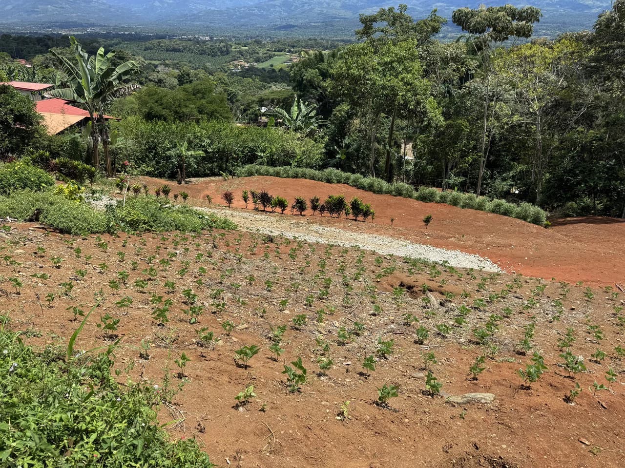 Prime 40,000 Sq. Ft. Building Lot with Mountain & Valley Views in Pérez Zeledón - photo 16