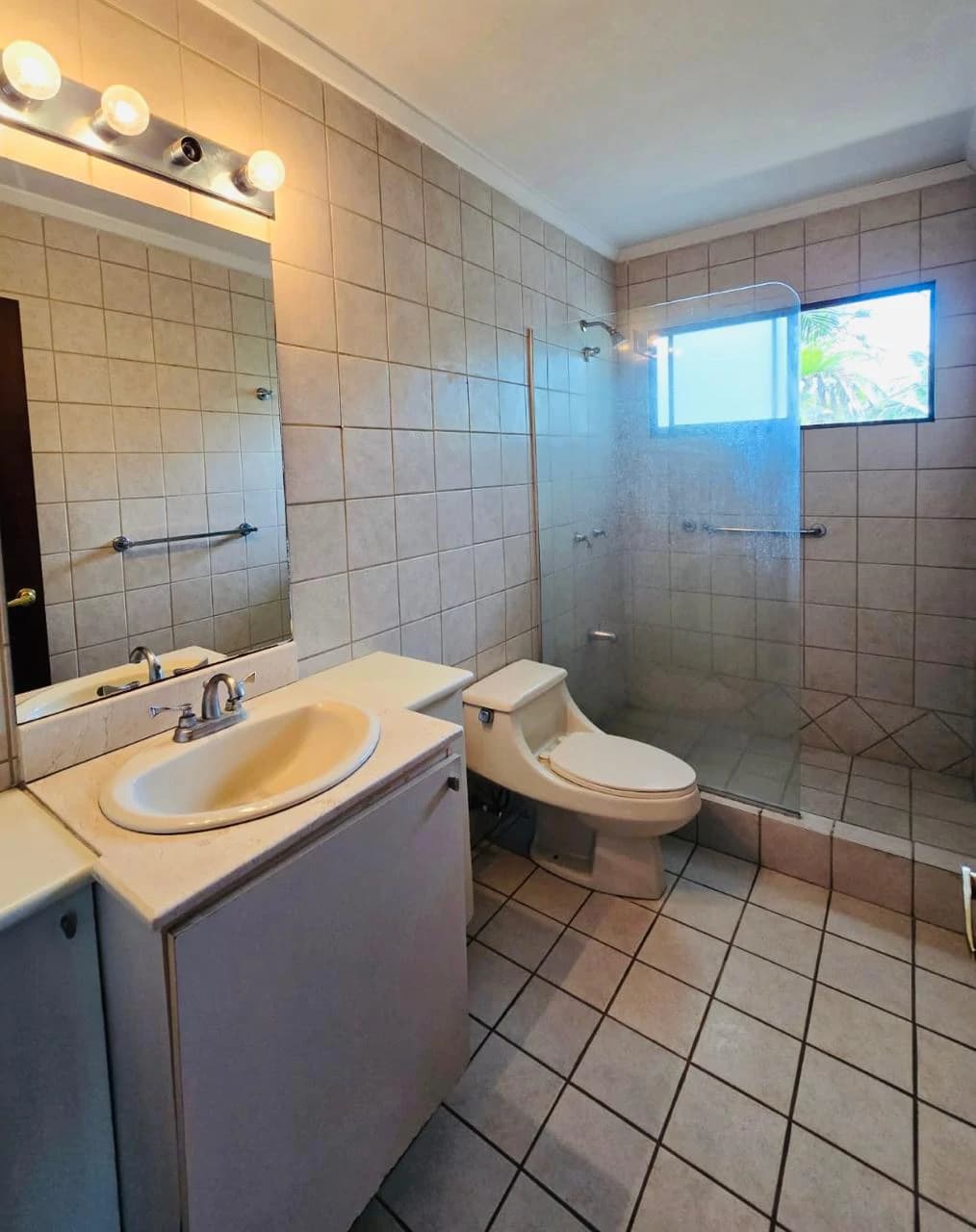 One-Level Apartment for Sale in a Condominium Brasil de Mora San José - photo 8