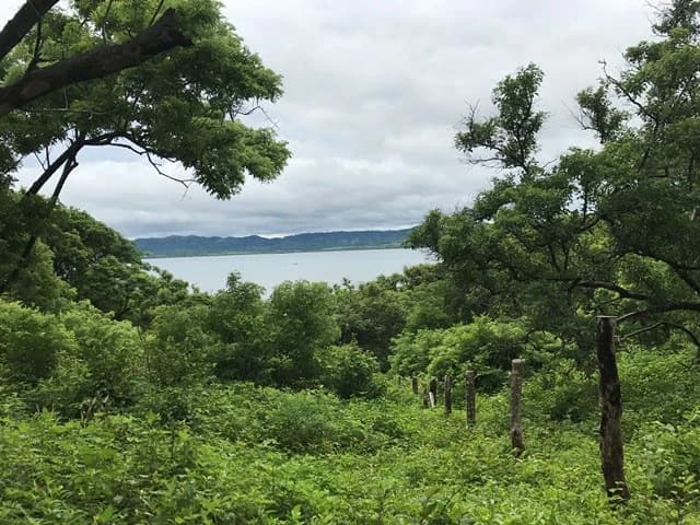 Big property with ocean view - photo 7