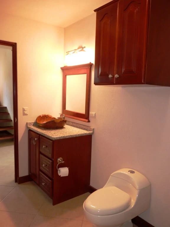Italian Style: GREAT DEAL ! 2-story Lake View Home - photo 5