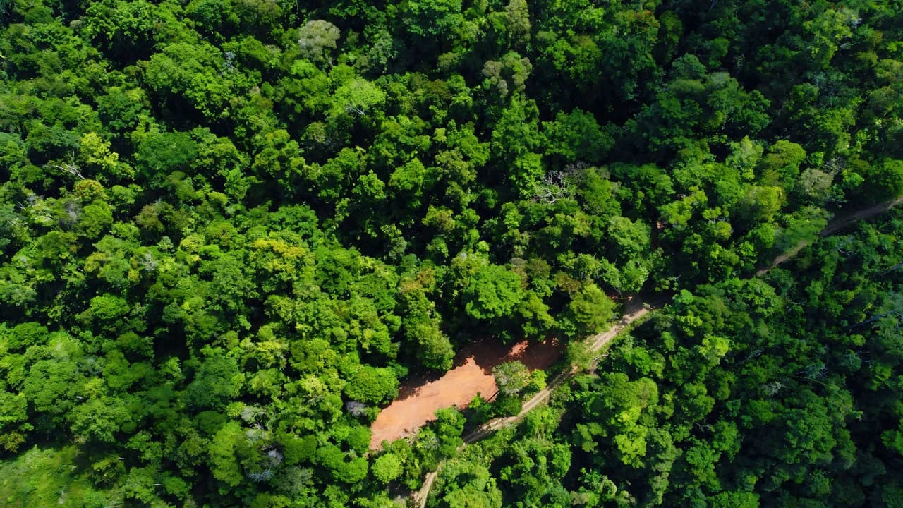 FINCA CERRO DEL TIGRE! OVER 20 ACRES OF PRIMARY FOREST AND WATERFALLS.: Mountain Agricultural Land For Sale in La Unión - photo 15