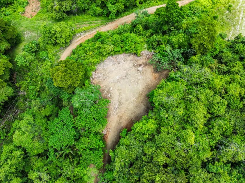 Lote Vista Lapa - 2.1 Acre Ocean View Lot: Countryside Home Construction Site For Sale in Playa Samara - photo 5