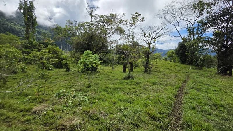 116-Hectare Finca for Sale Near Uvita with Whales Tail Views and 10 Waterfalls | La Faralla, Bahia Ballena, Uvita, Puntarenas, Costa Rica - photo 26